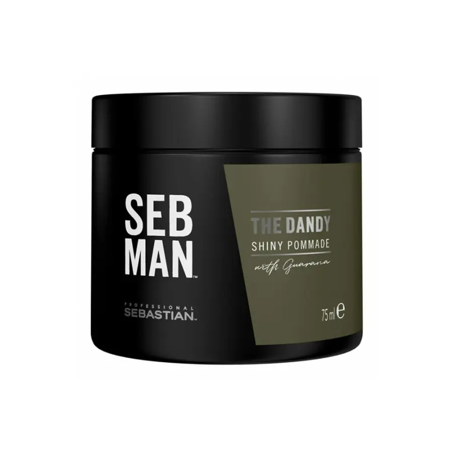 Sebastian Professional SEB MAN The Dandy Shiny Pommade 75 ml POŠKOZENÝ OBAL